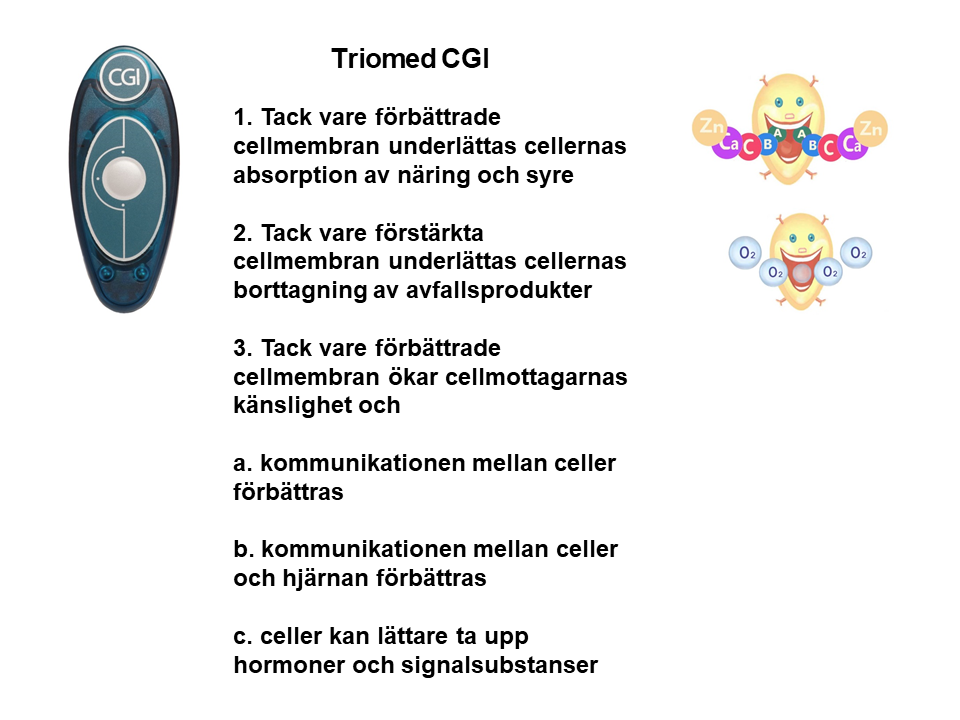 Bild7